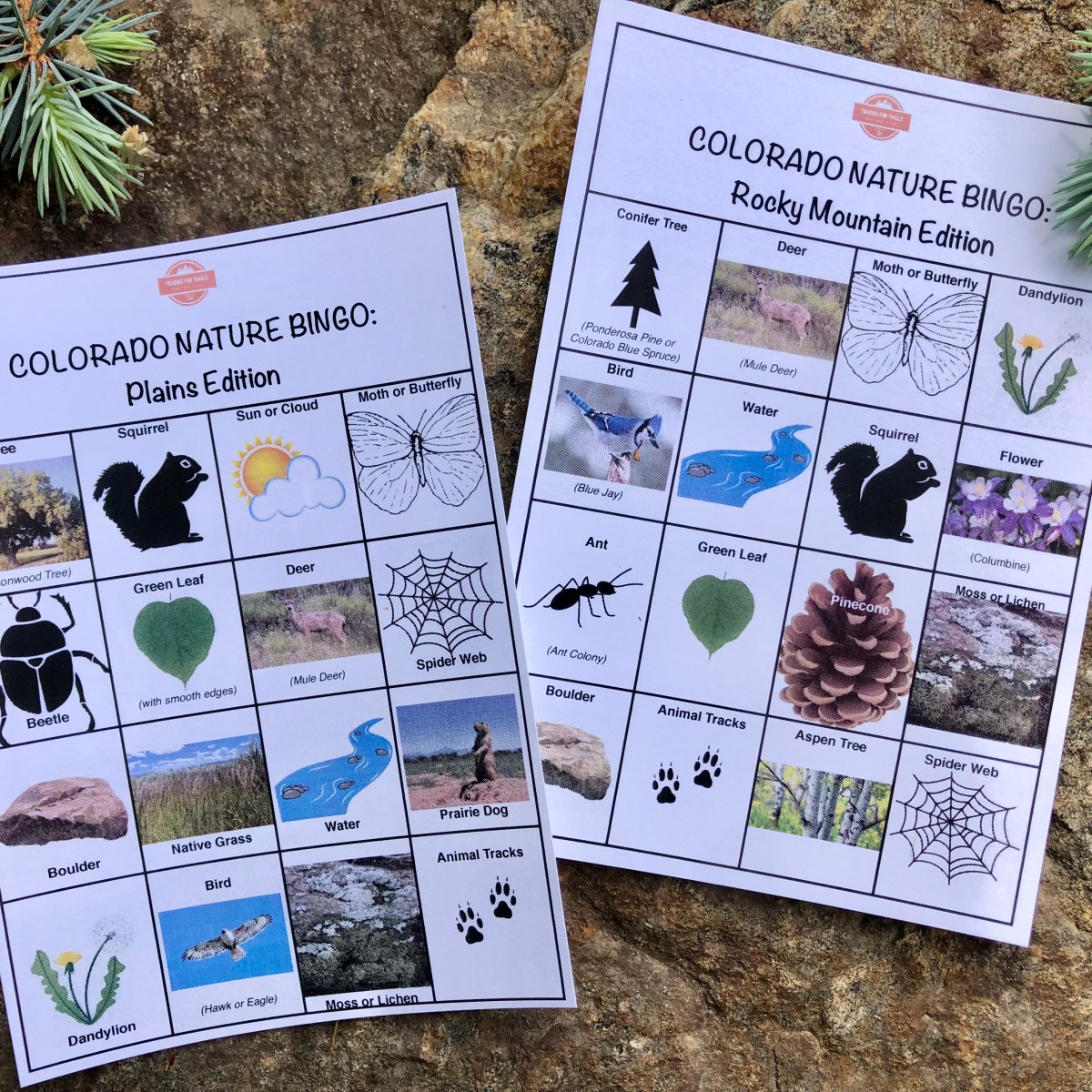 Colorado Nature Bingo